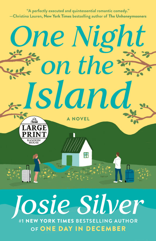 One Night on the Island - A Novel