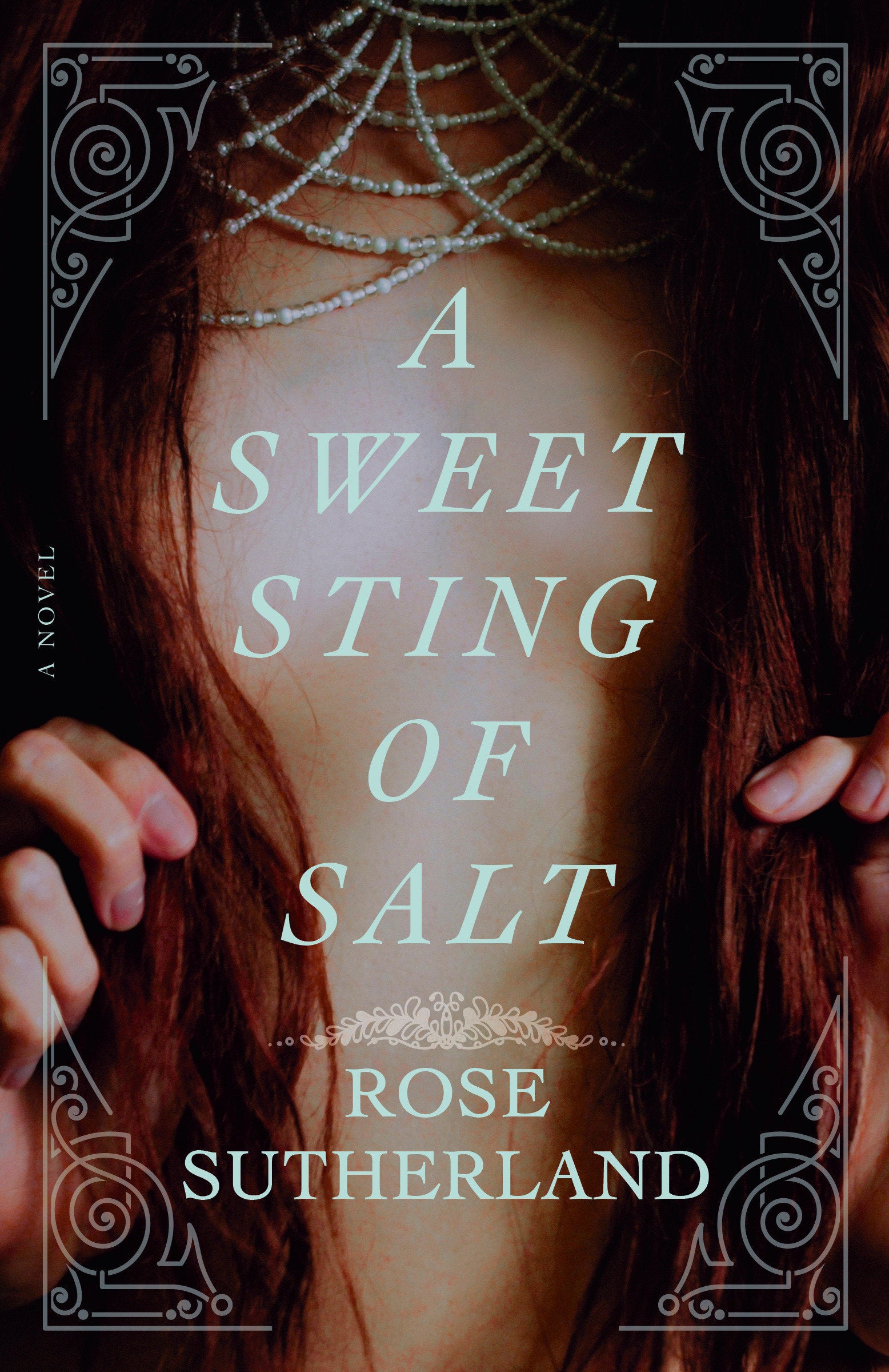 A Sweet Sting of Salt - A Novel