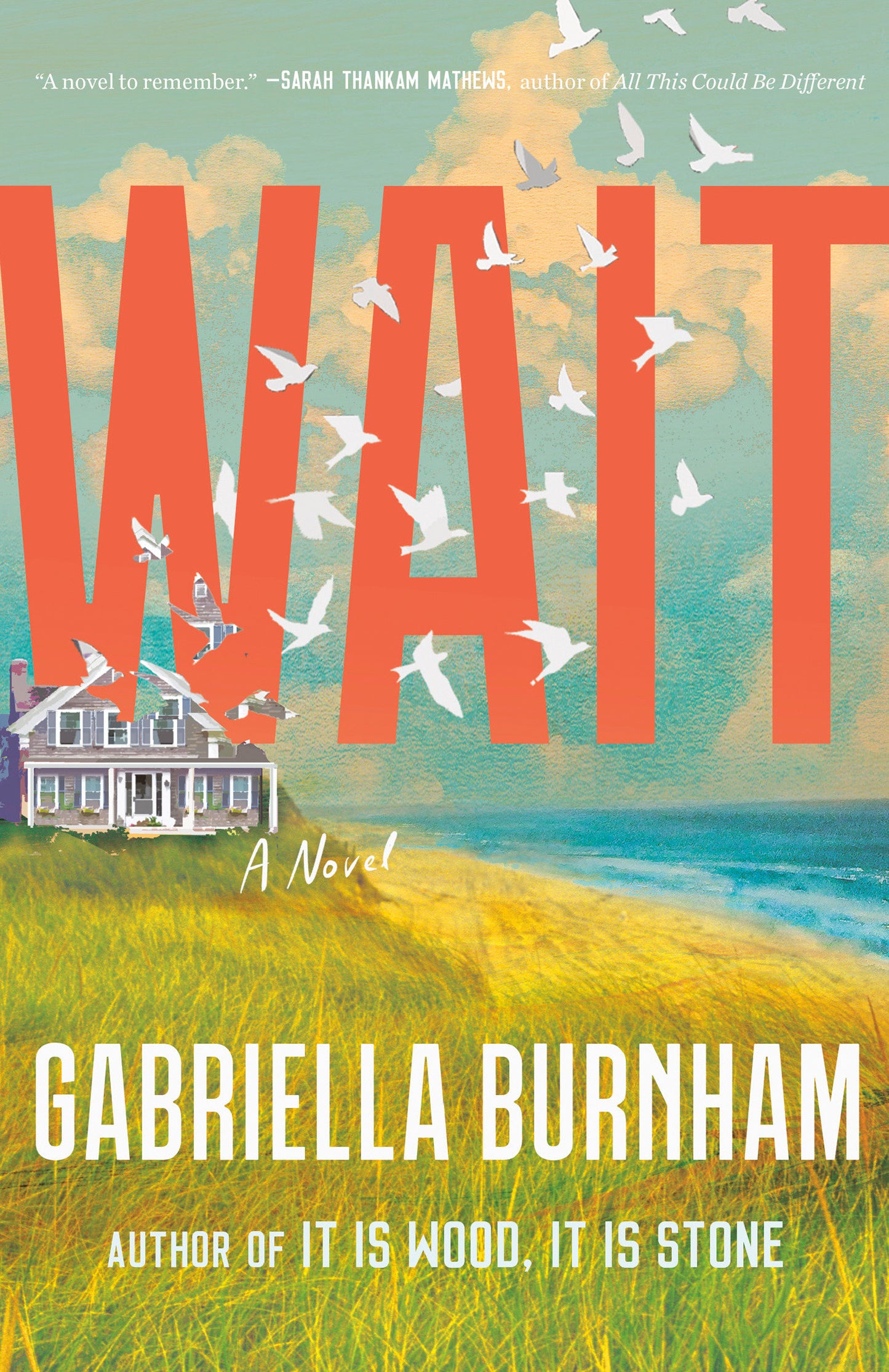 Wait - A Novel
