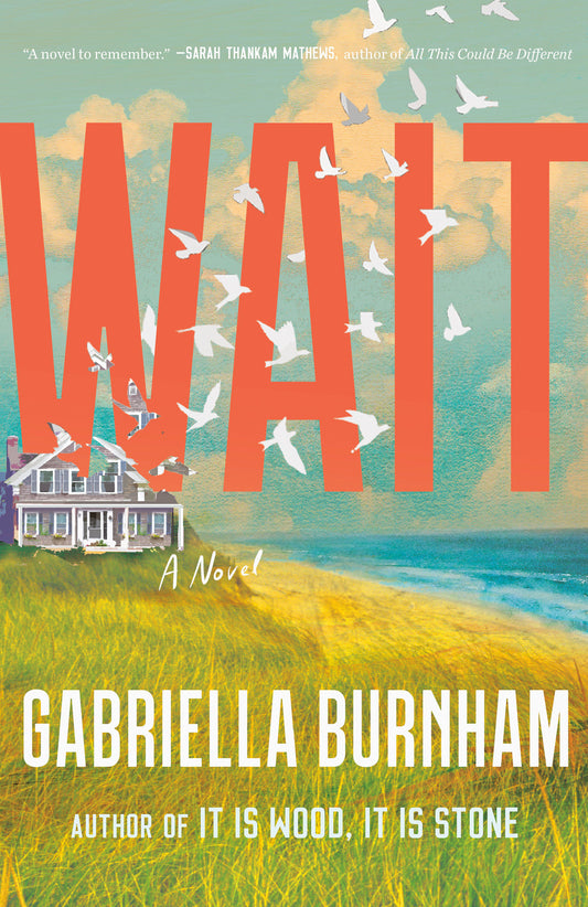 Wait - A Novel