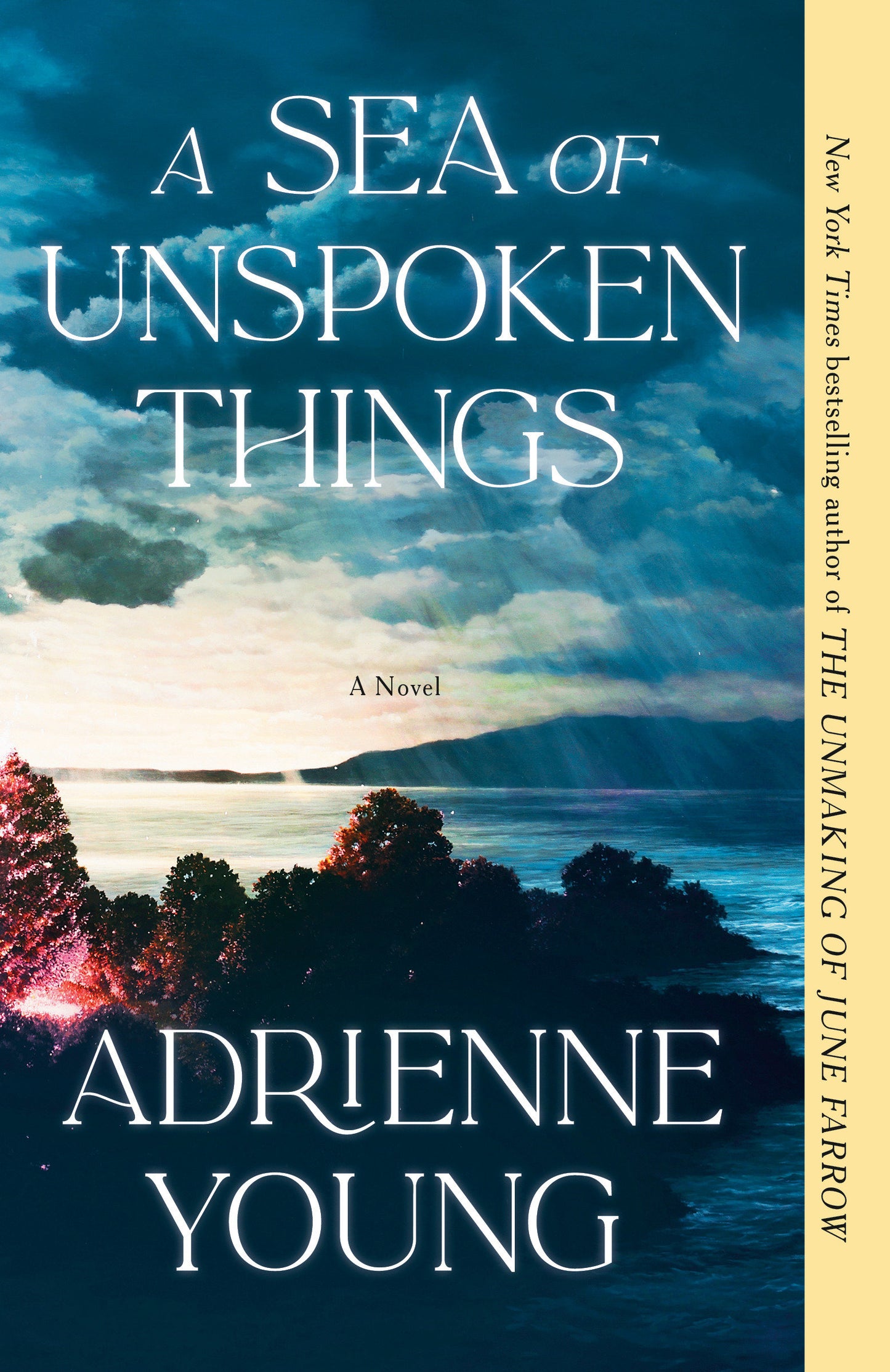 A Sea of Unspoken Things - A Novel