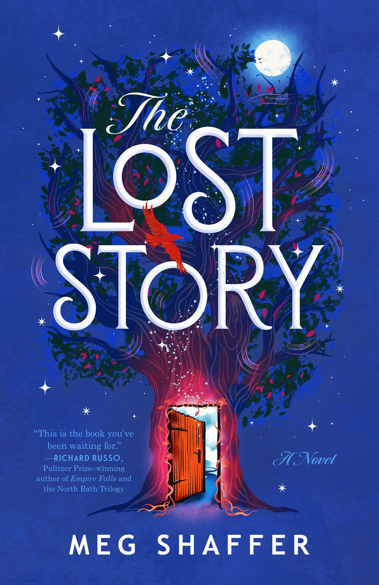 The Lost Story - A Novel