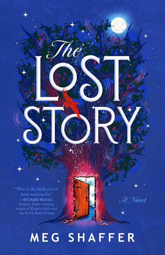The Lost Story - A Novel