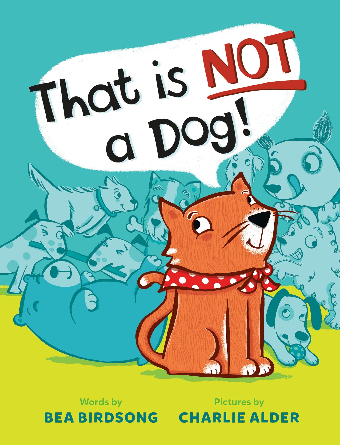 That Is Not a Dog!
