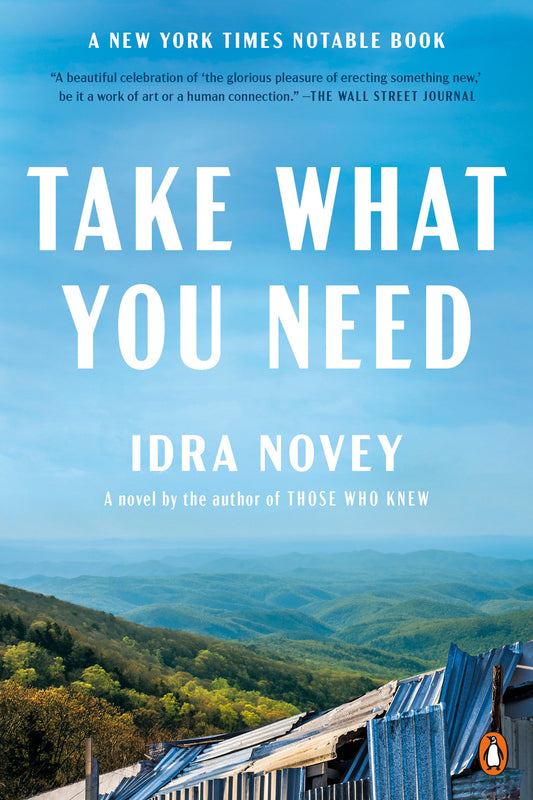 Take What You Need - A Novel