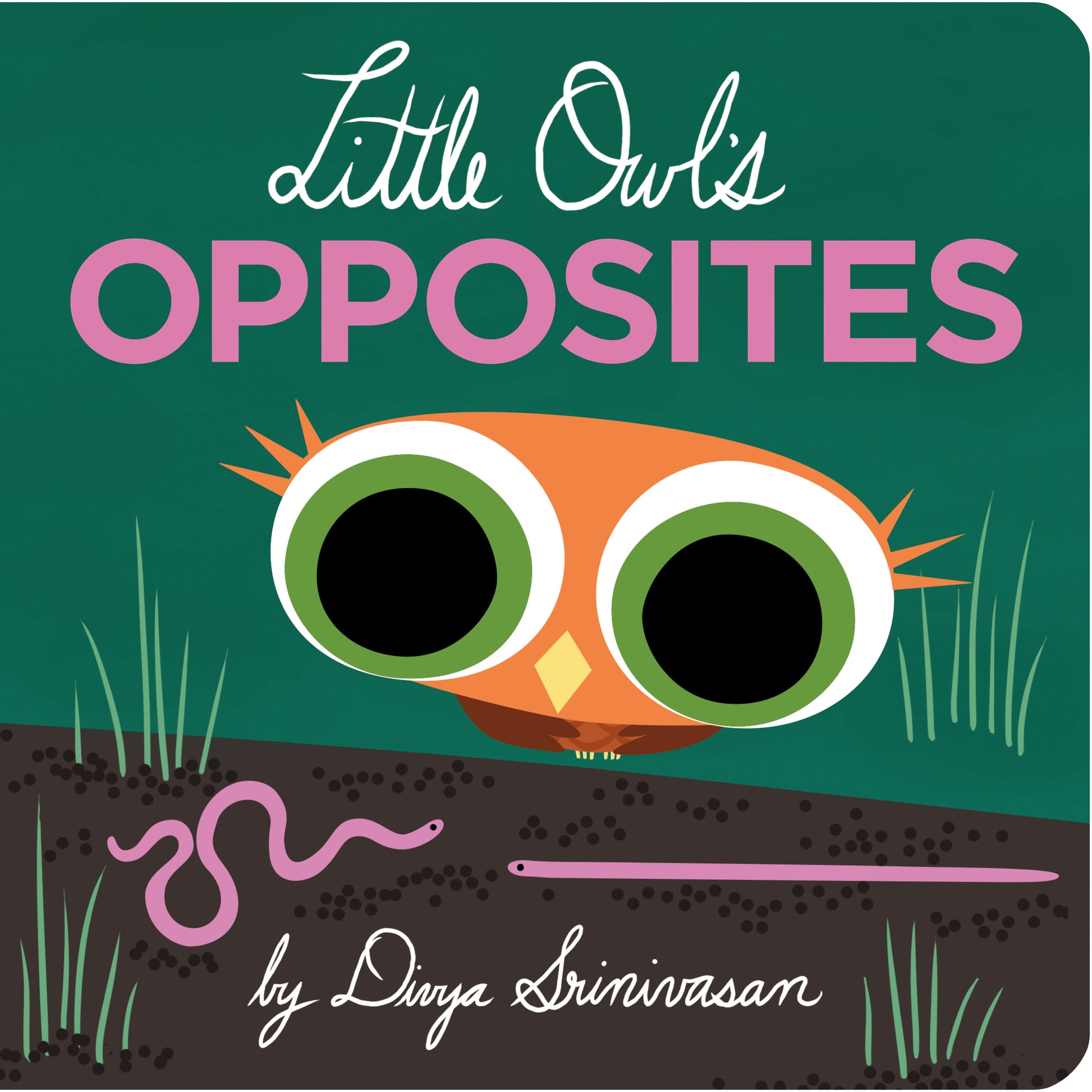 Little Owl's Opposites (Little Owl)