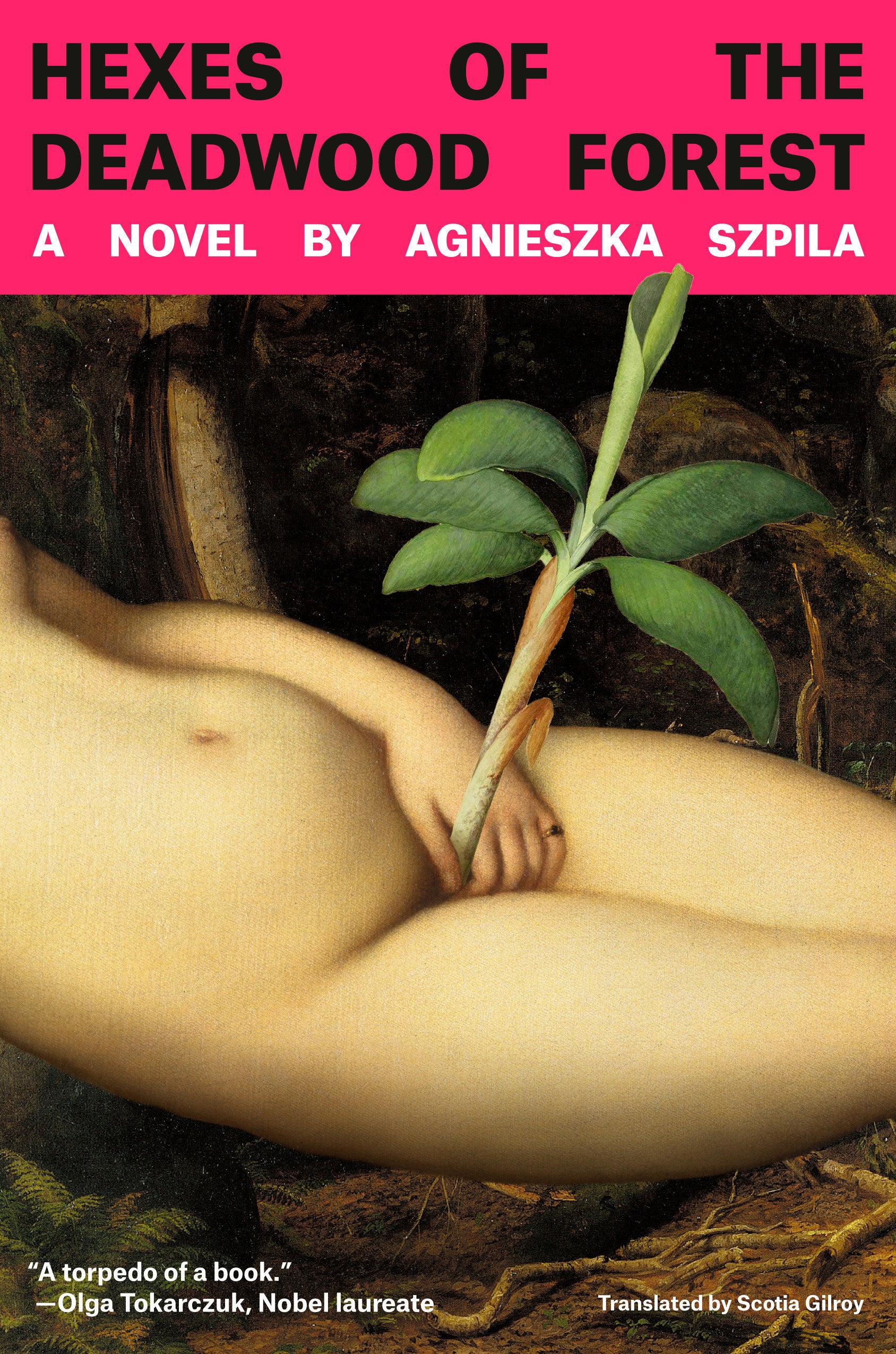 Hexes of the Deadwood Forest - A Novel