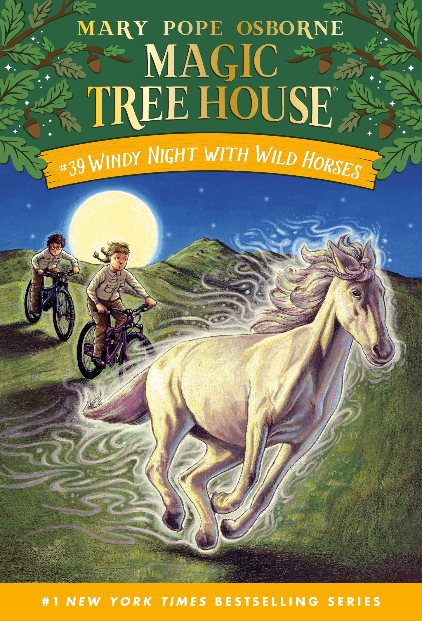 Windy Night with Wild Horses (Magic Tree House) (Book:39)