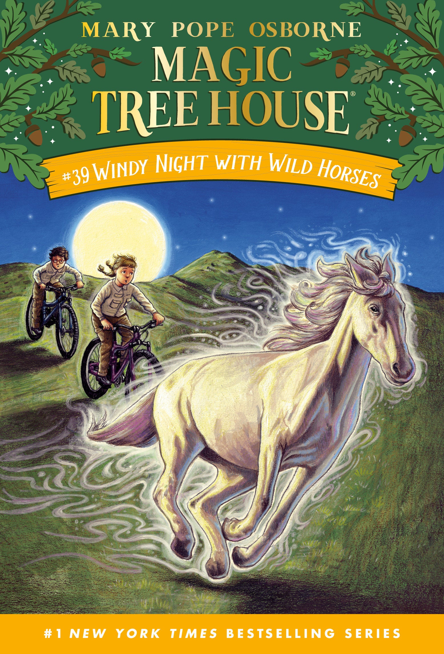 Windy Night with Wild Horses (Magic Tree House) (Book:39)