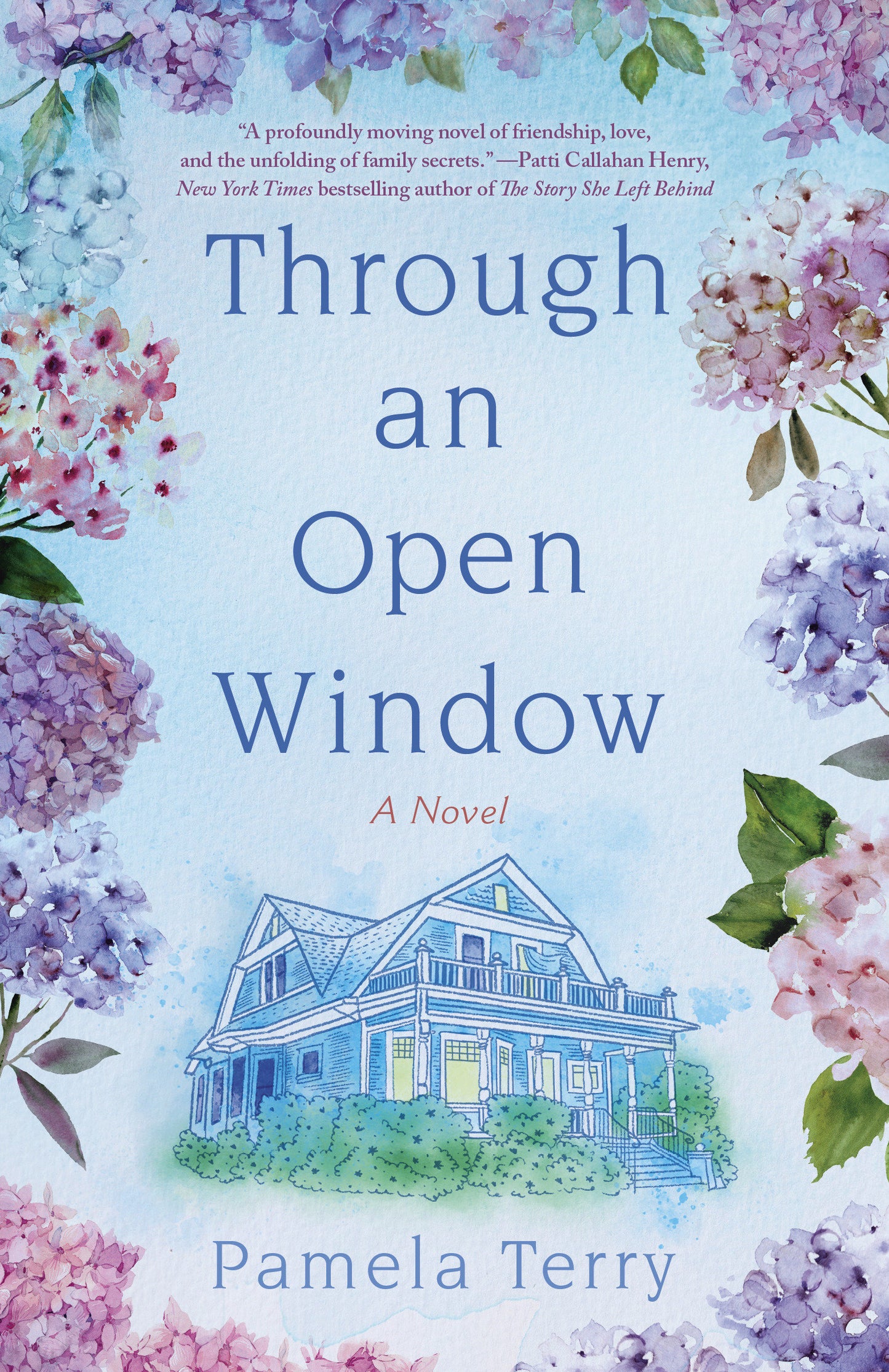Through an Open Window - A Novel