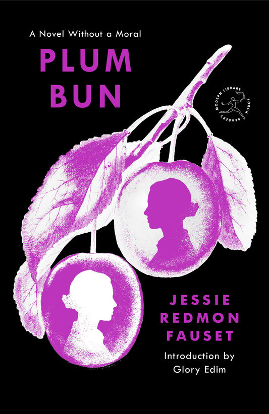 Plum Bun - A Novel Without a Moral (Modern Library Torchbearers)
