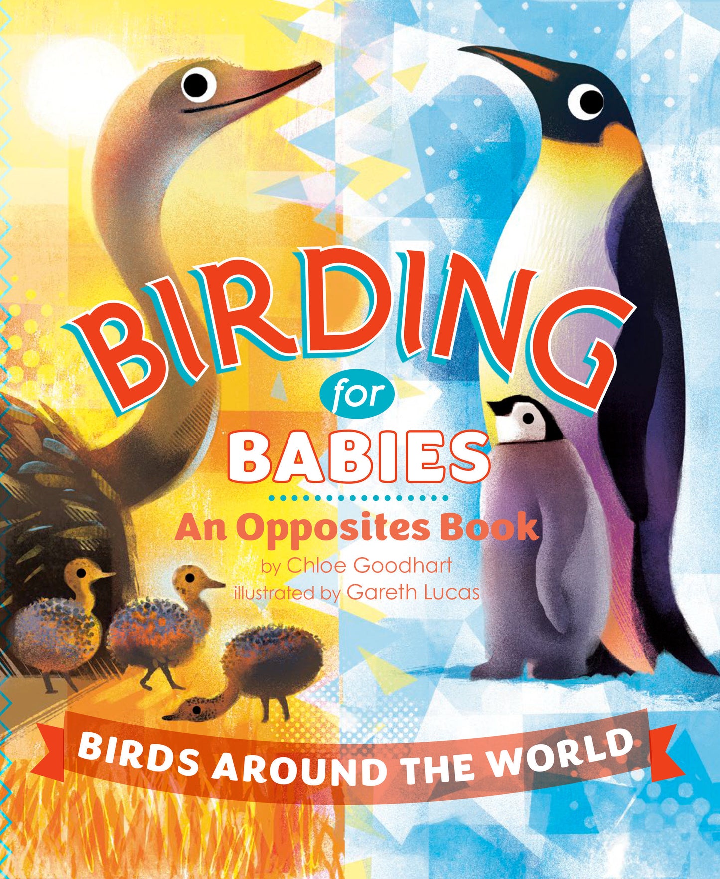 Birding for Babies: Birds Around the World - An Opposites Book