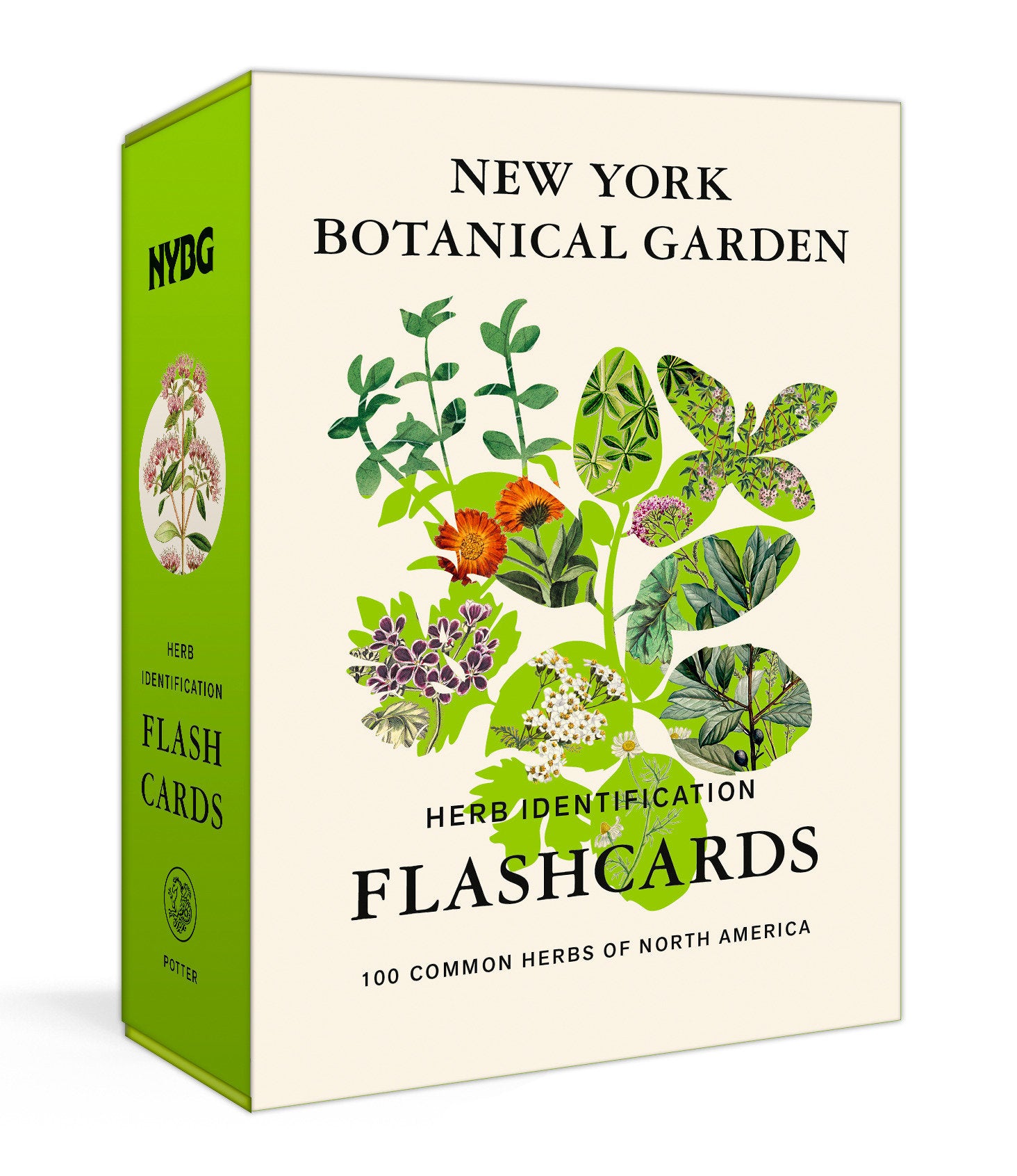 New York Botanical Garden Herb Identification Flashcards - 100 Common Herbs of North America (New York Botanical Garden)