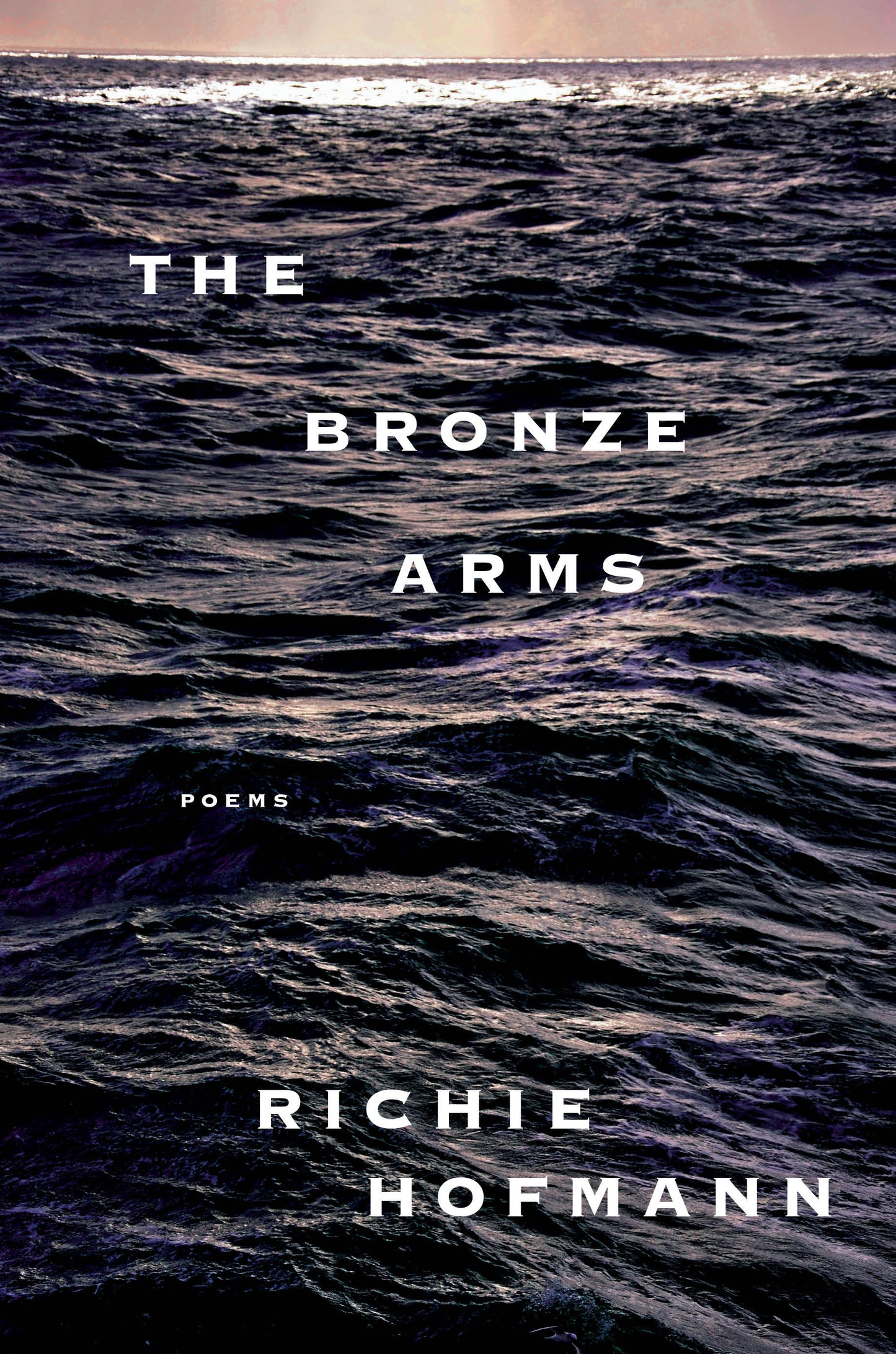The Bronze Arms - Poems