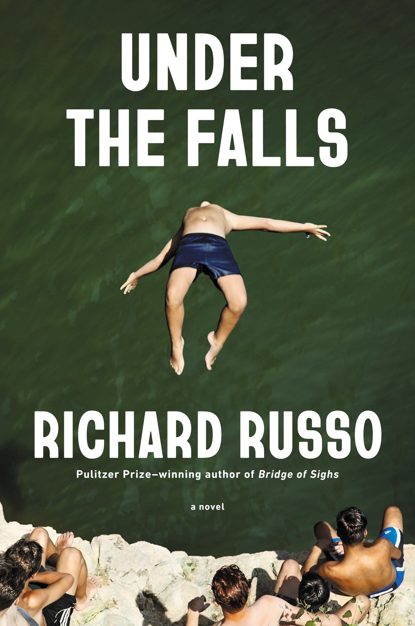 Under the Falls - A Novel