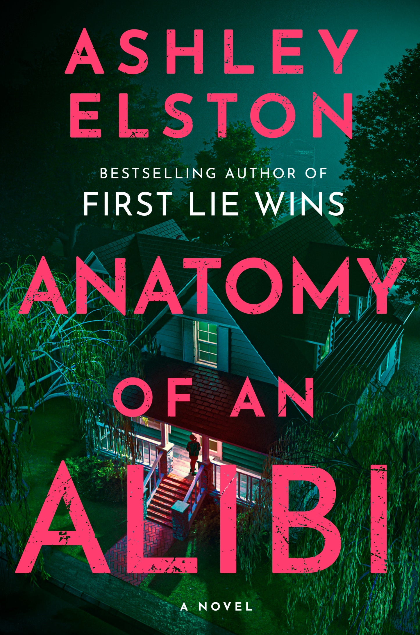 Anatomy of an Alibi - A Novel