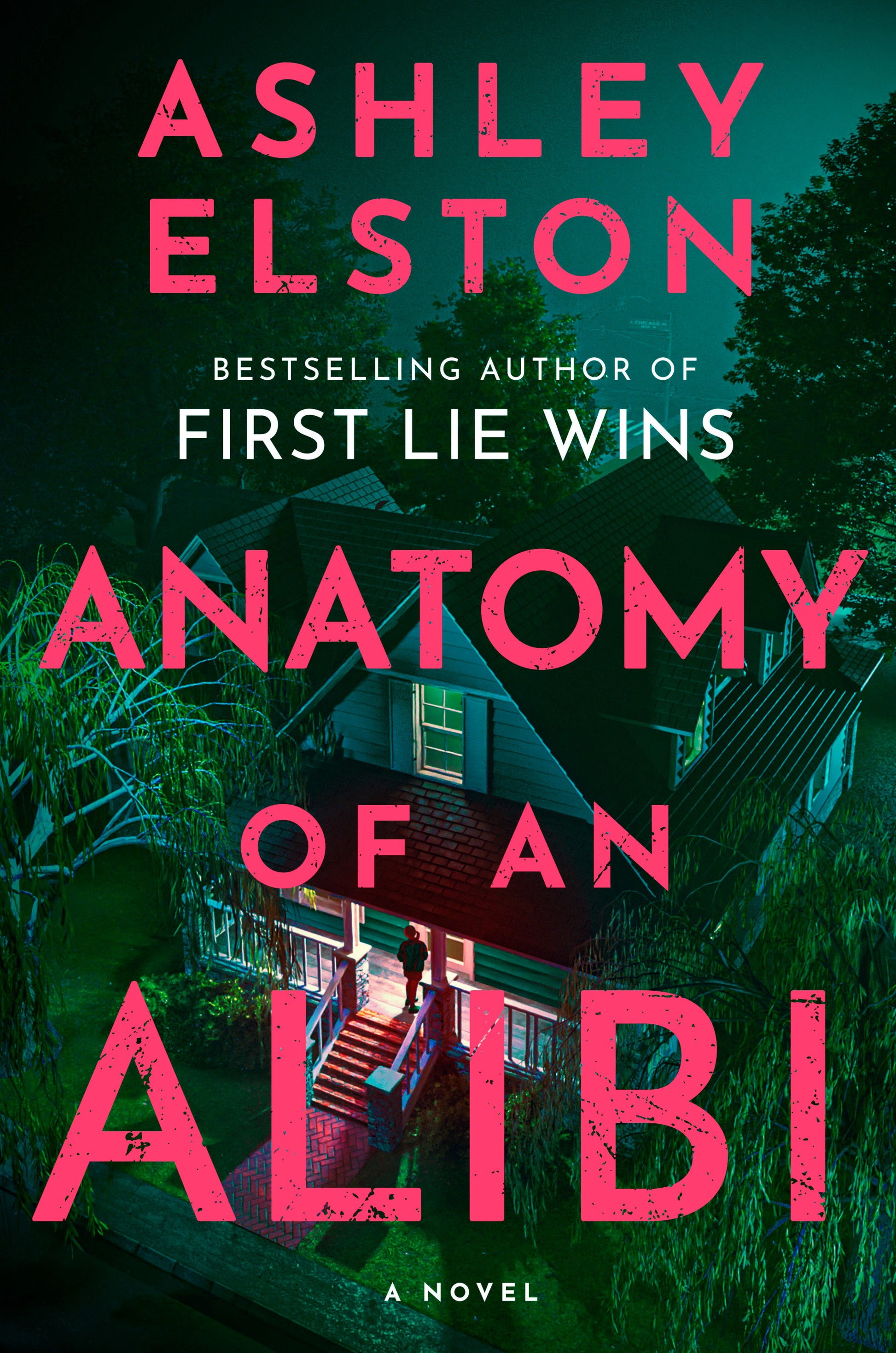 Anatomy of an Alibi - A Novel
