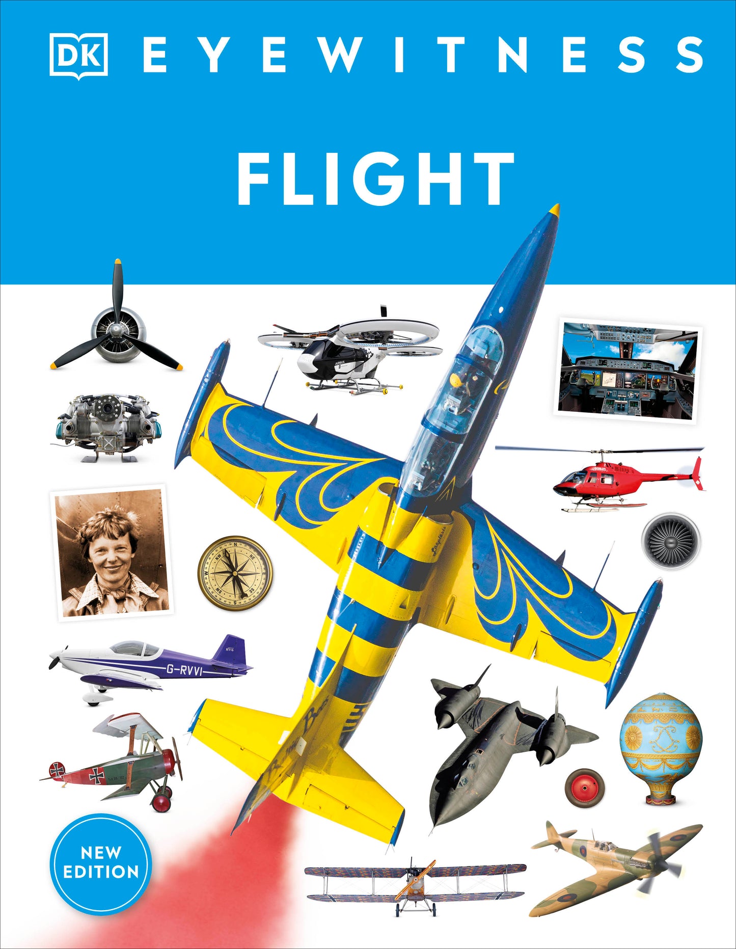 Eyewitness Flight (DK Eyewitness)