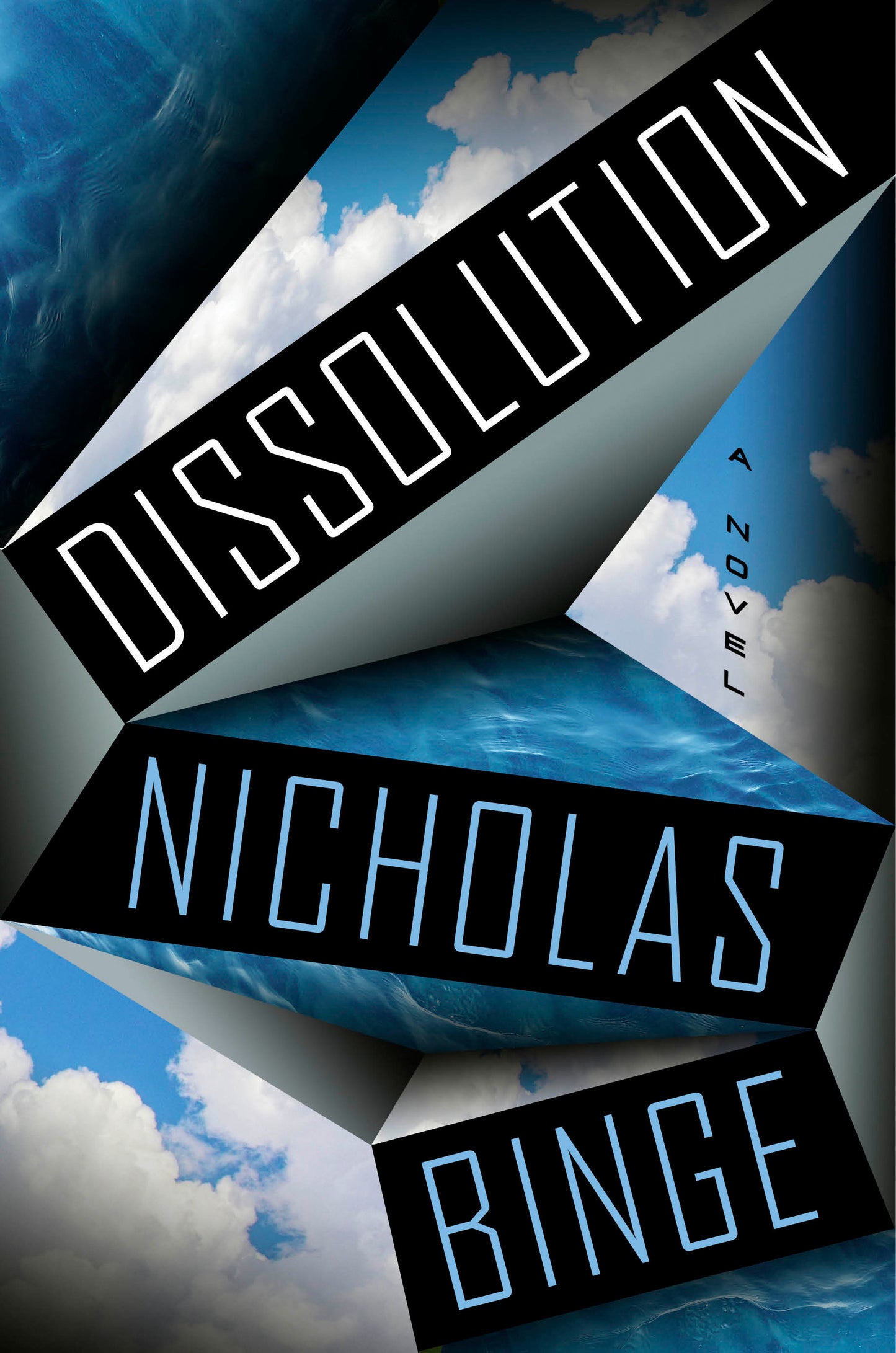 Dissolution - A Novel