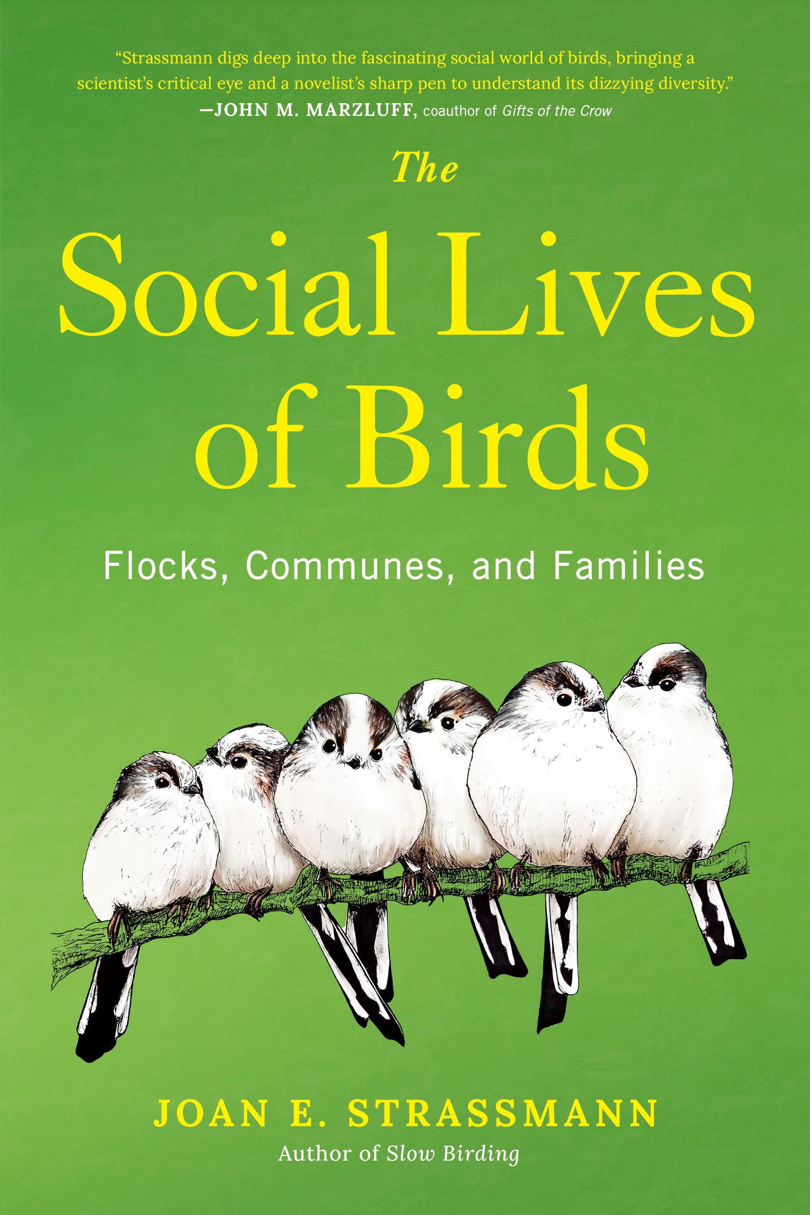 The Social Lives of Birds - Flocks, Communes, and Families