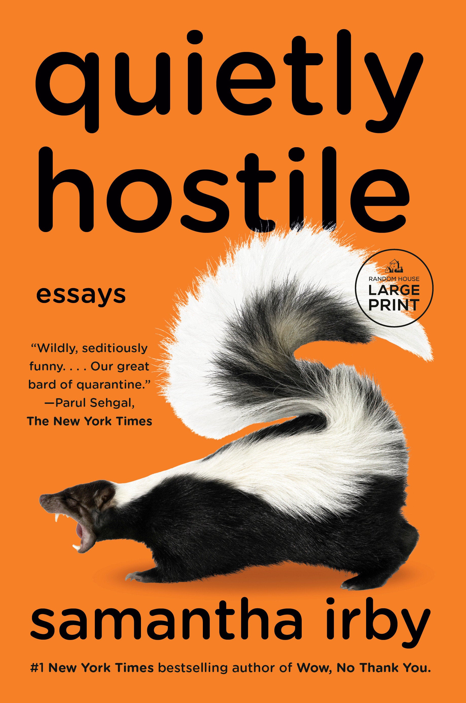 Quietly Hostile - Essays
