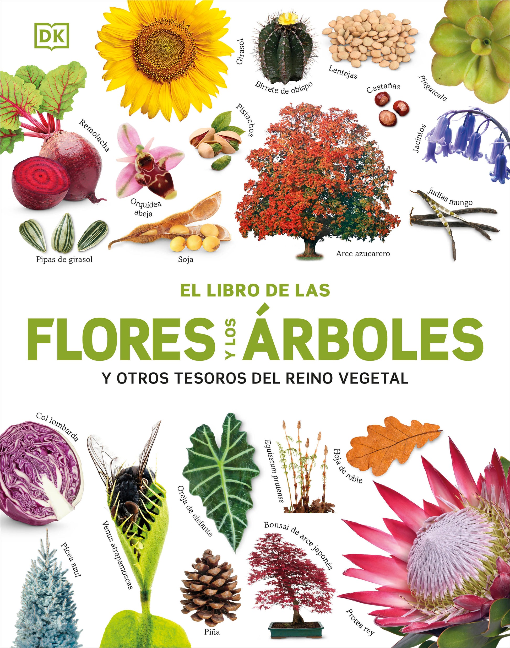 El Libro de las flores y los arboles (Our World in Pictures: Trees, Leaves, Flowers & Seeds) (DK Our World in Pictures)