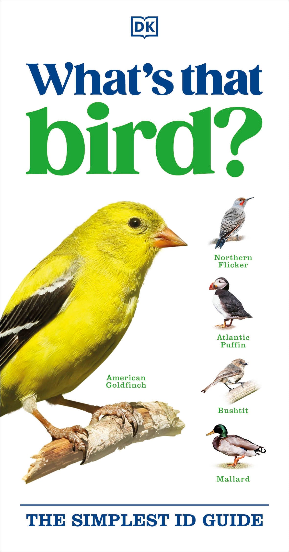 What's that Bird? (DK What's That?)