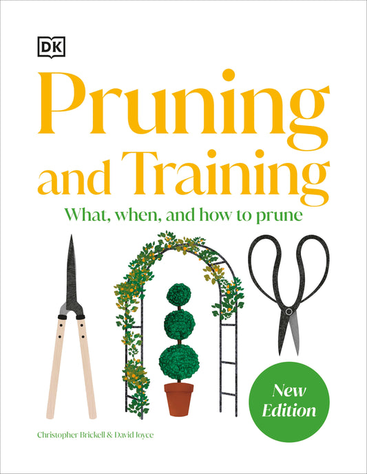 Pruning and Training - What, When, and How to Prune
