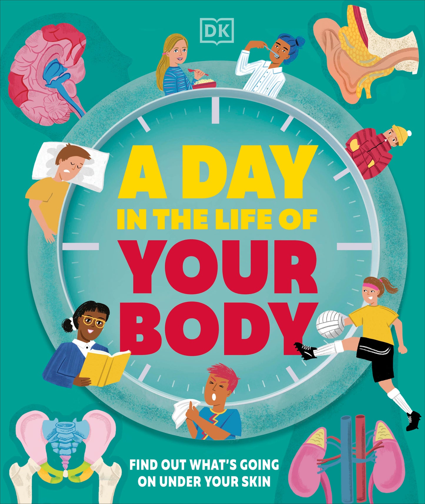 A Day in the Life of Your Body - Find Out What's Going on Under Your Skin