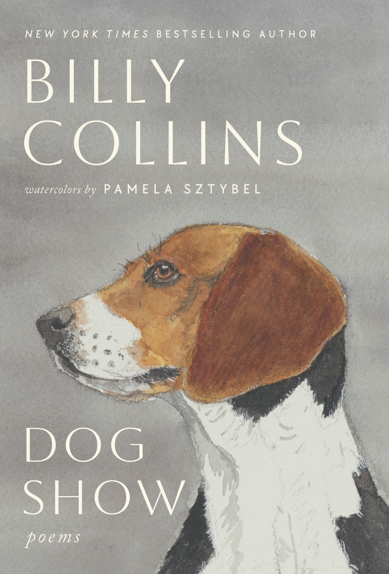 Dog Show - Poems