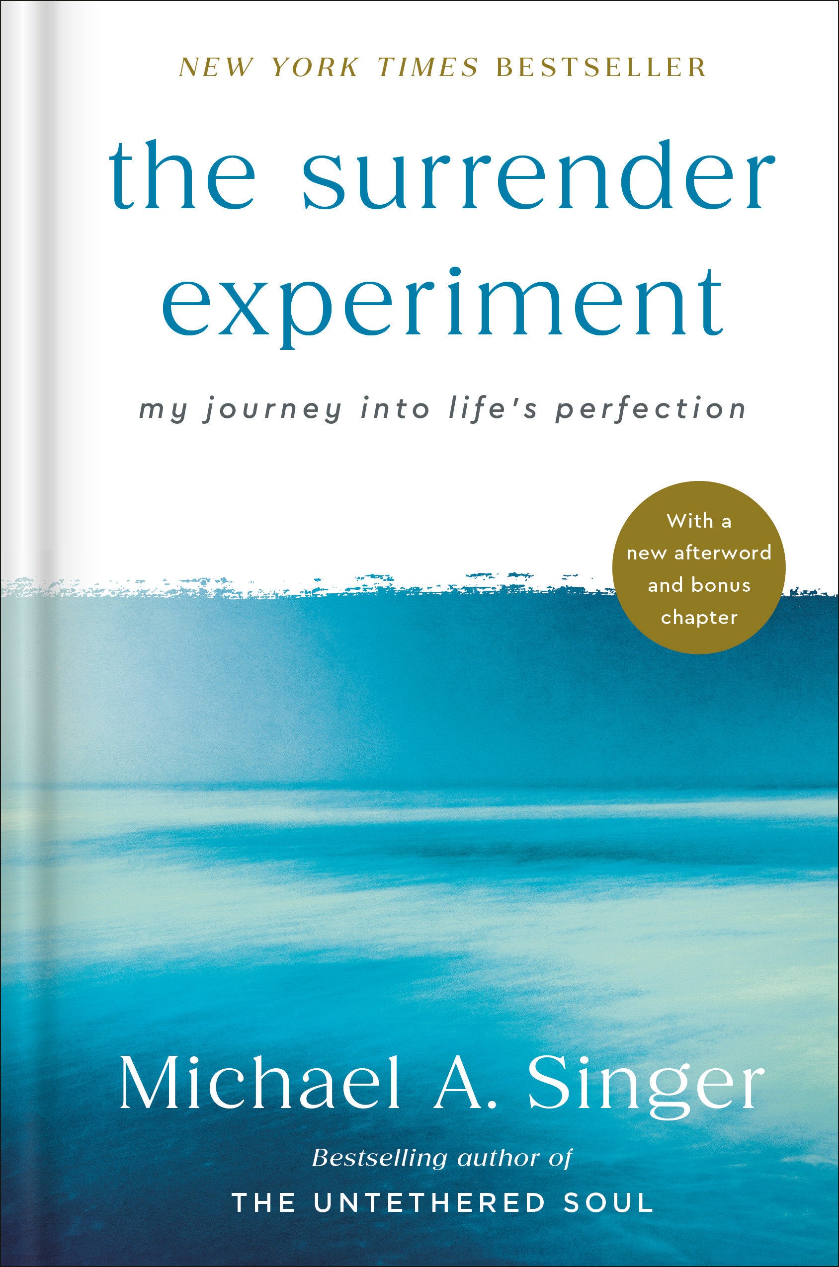 The Surrender Experiment - My Journey into Life's Perfection
