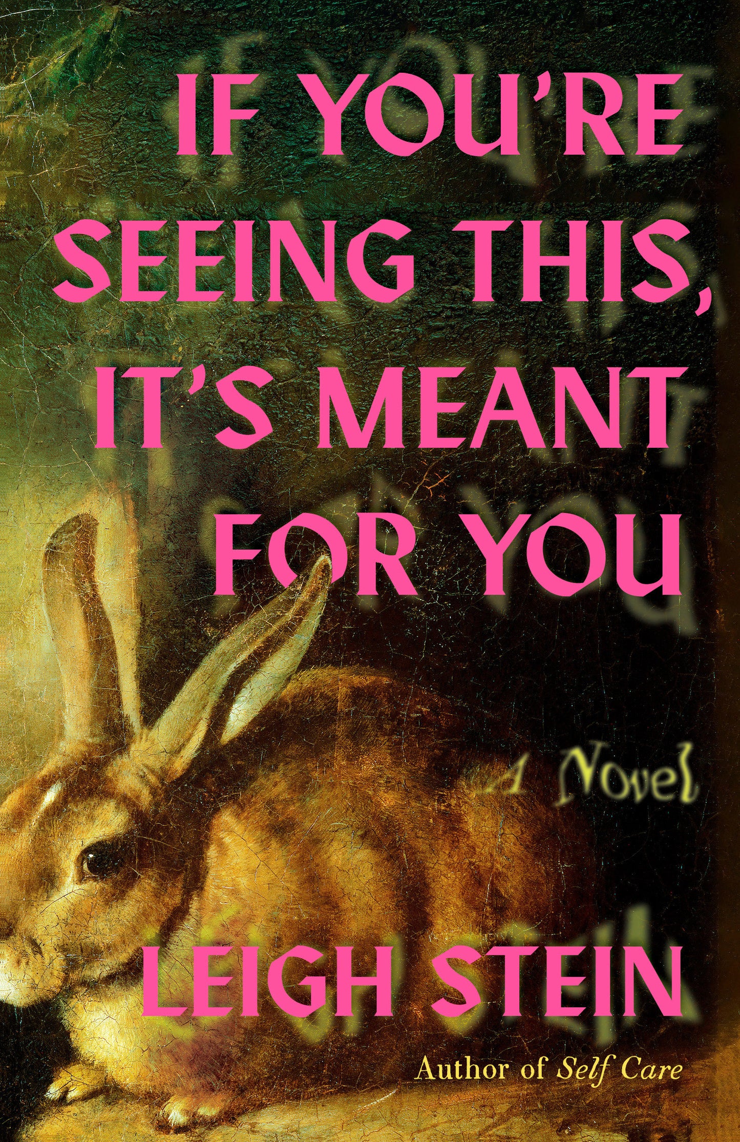 If You're Seeing This, It's Meant for You - A Novel