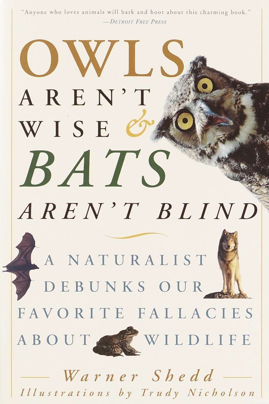 Owls Aren't Wise & Bats Aren't Blind - A Naturalist Debunks Our Favorite Fallacies About Wildlife