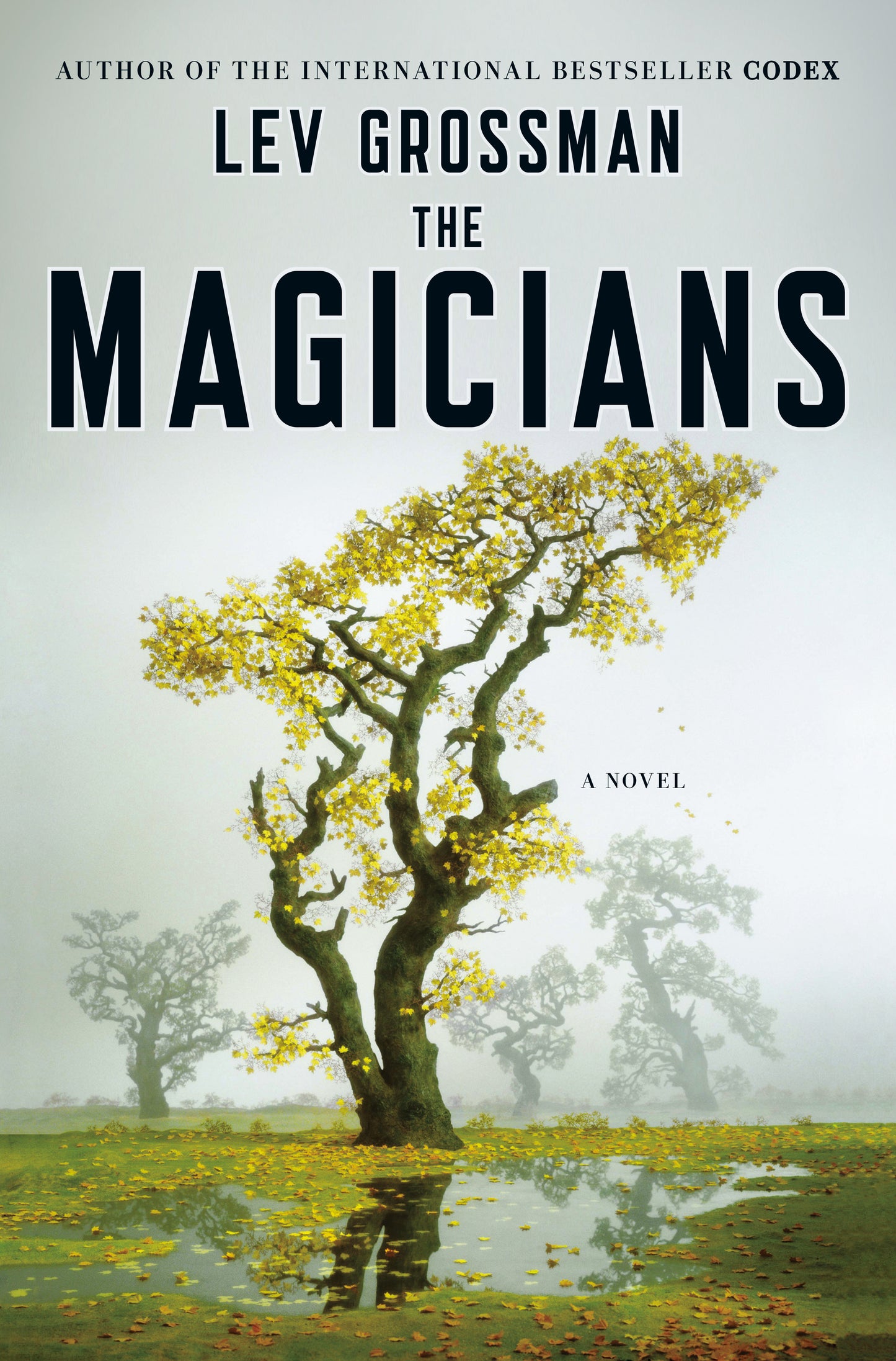 The Magicians - A Novel (Magicians Trilogy)