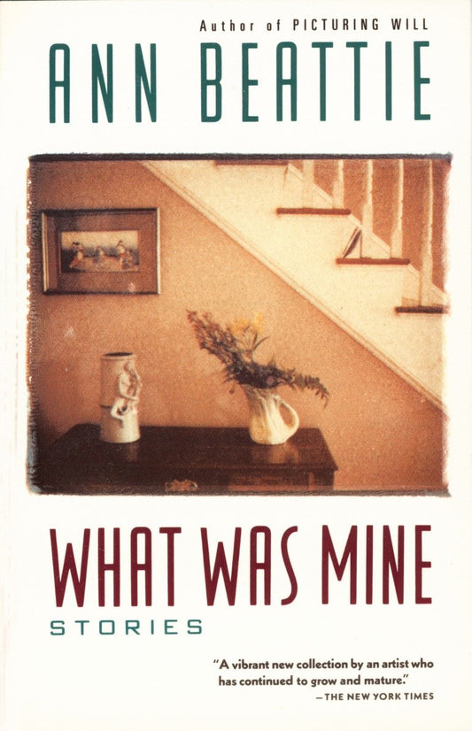 What Was Mine - & Other Stories (Vintage Contemporaries)