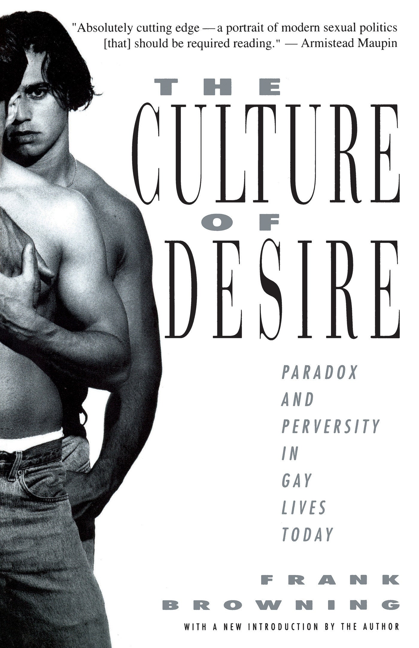 The Culture of Desire - Paradox and Perversity in Gay Lives Today