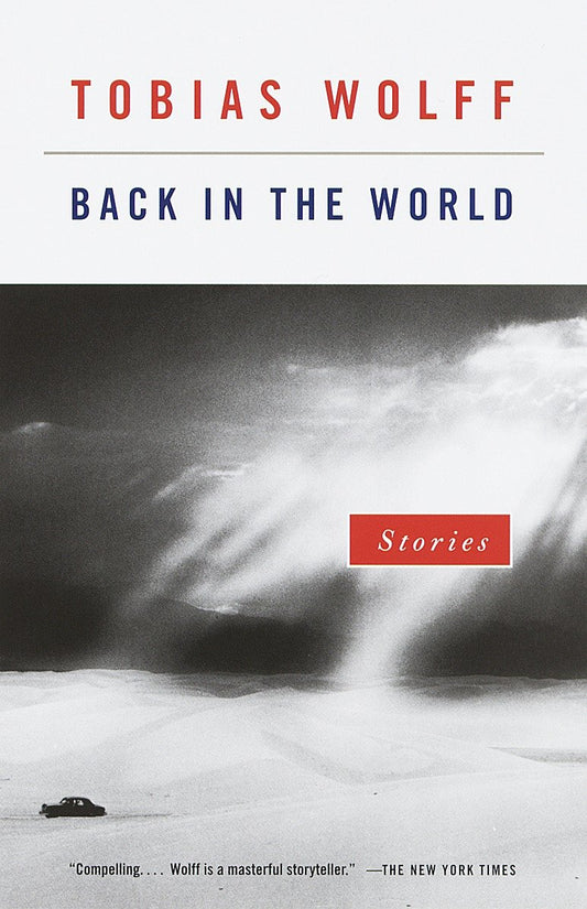 Back in the World - Stories (Vintage Contemporaries)