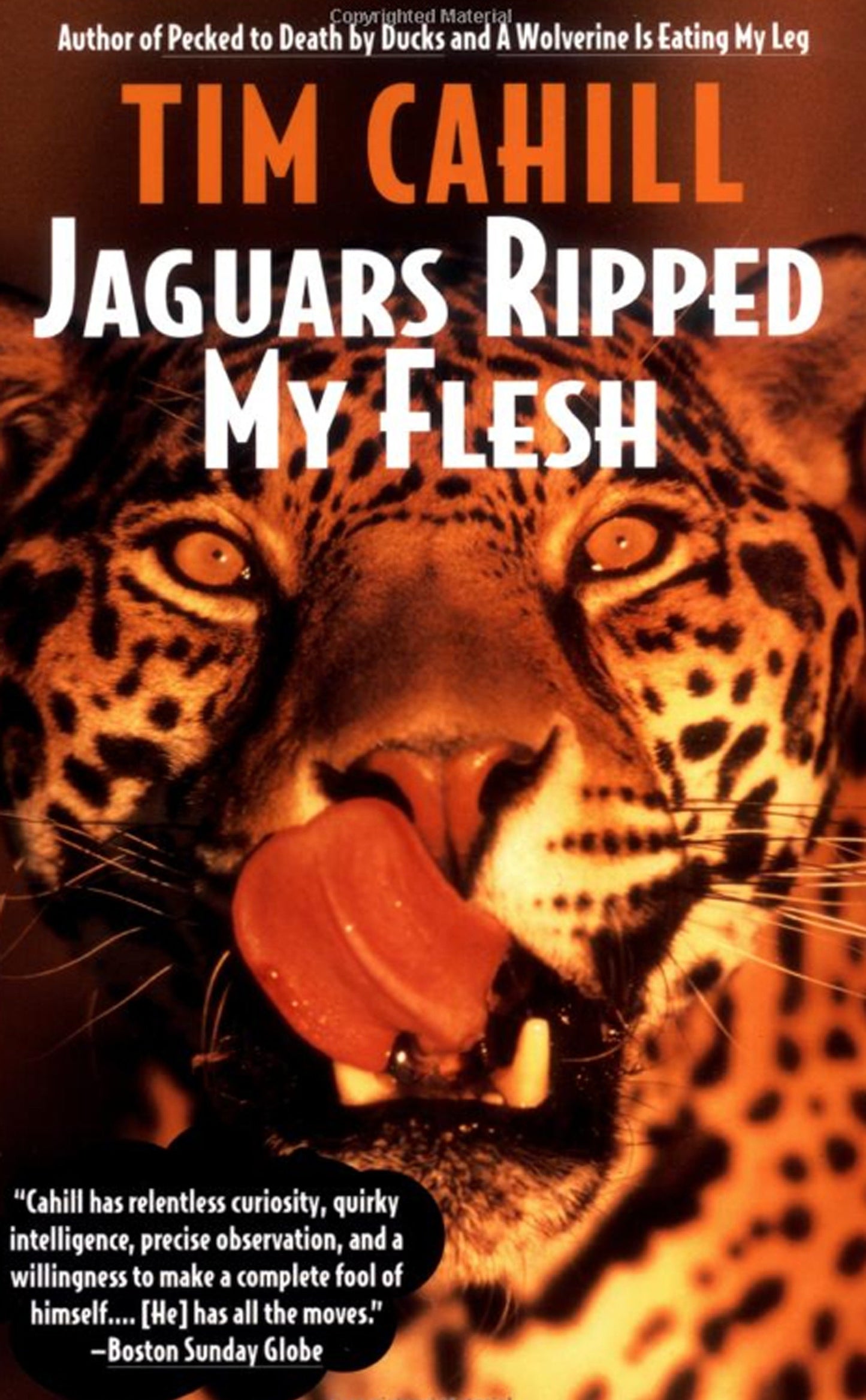 Jaguars Ripped My Flesh (Vintage Departures)