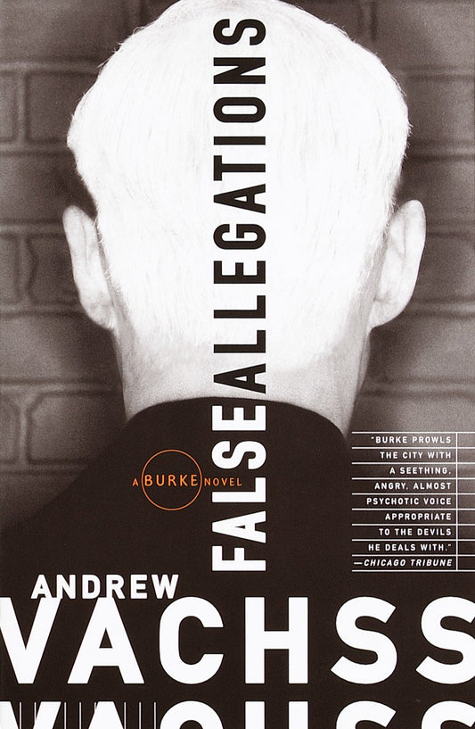 False Allegations - A Burke Novel (Burke Series) (Book:9)