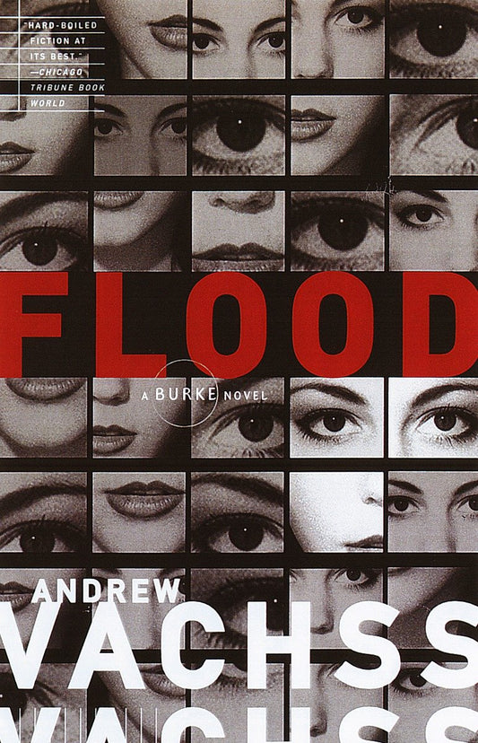 Flood (Burke Series) (Book:1)