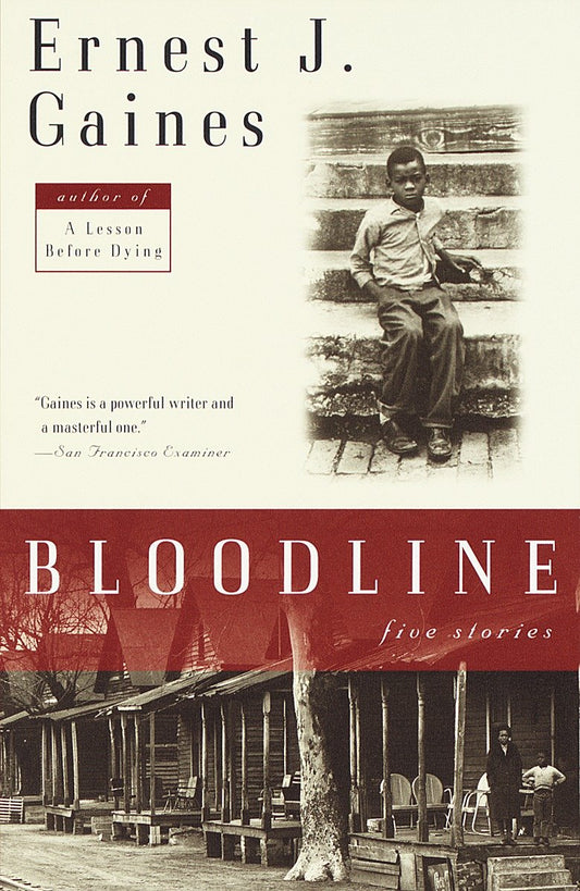 Bloodline - Five Stories (Vintage Contemporaries)