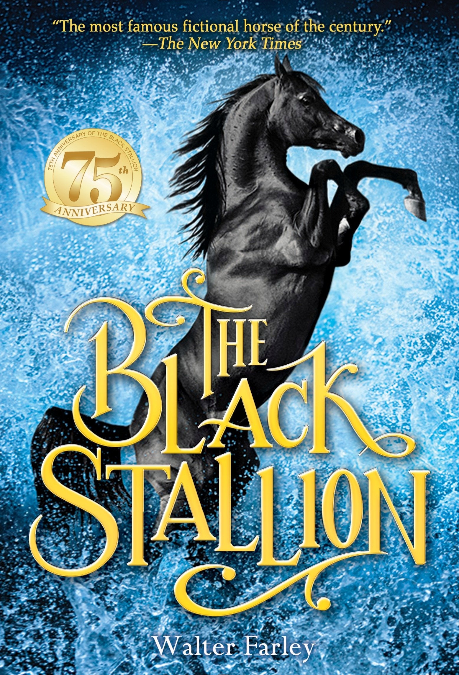 The Black Stallion (Black Stallion)