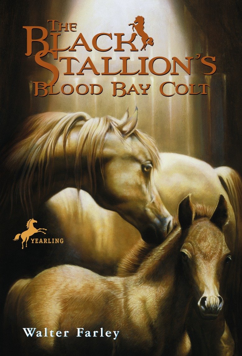 The Black Stallion's Blood Bay Colt - (Reissue) (Black Stallion)