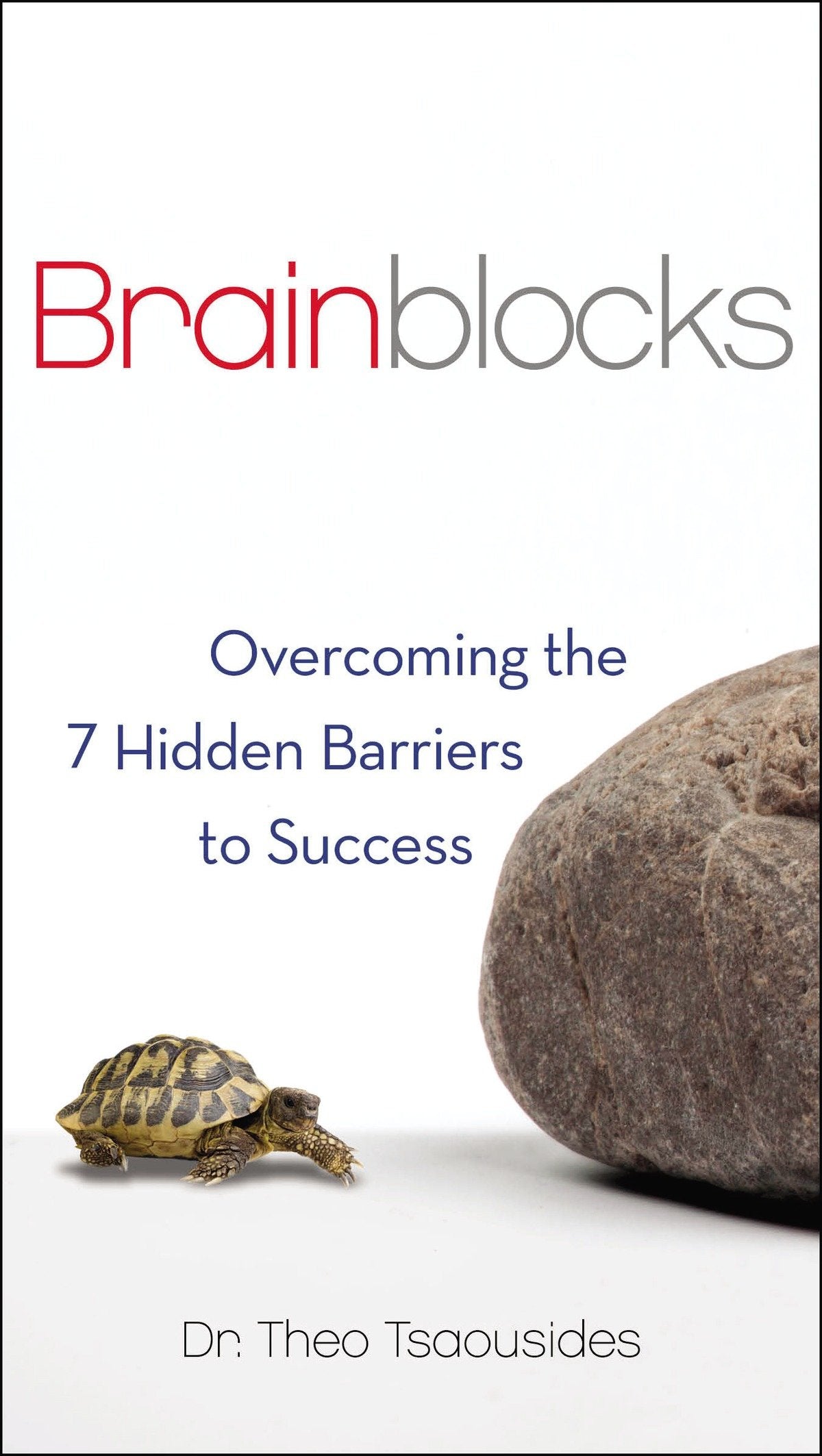 Brainblocks - Overcoming the 7 Hidden Barriers to Success
