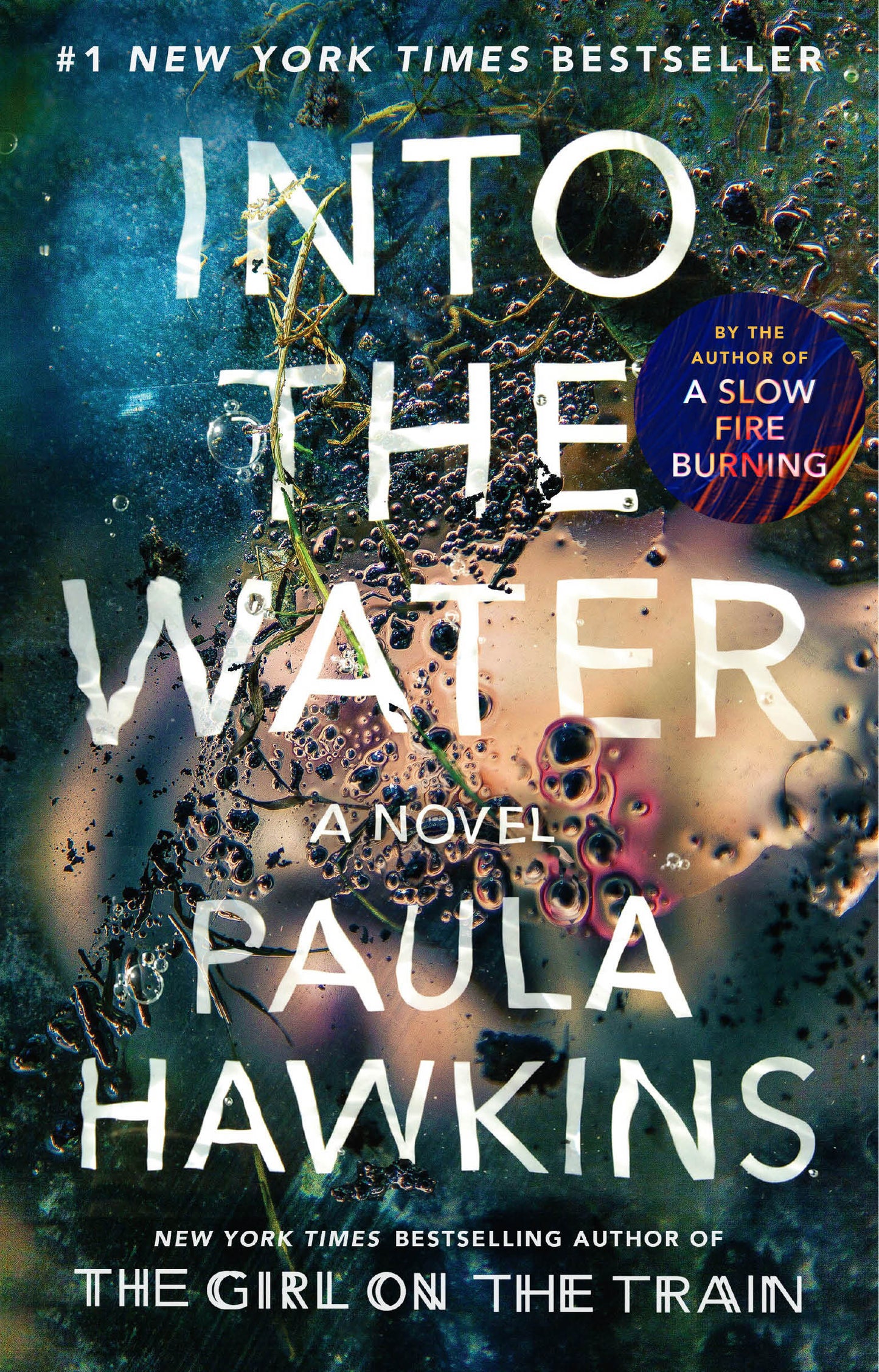 Into the Water - A Novel
