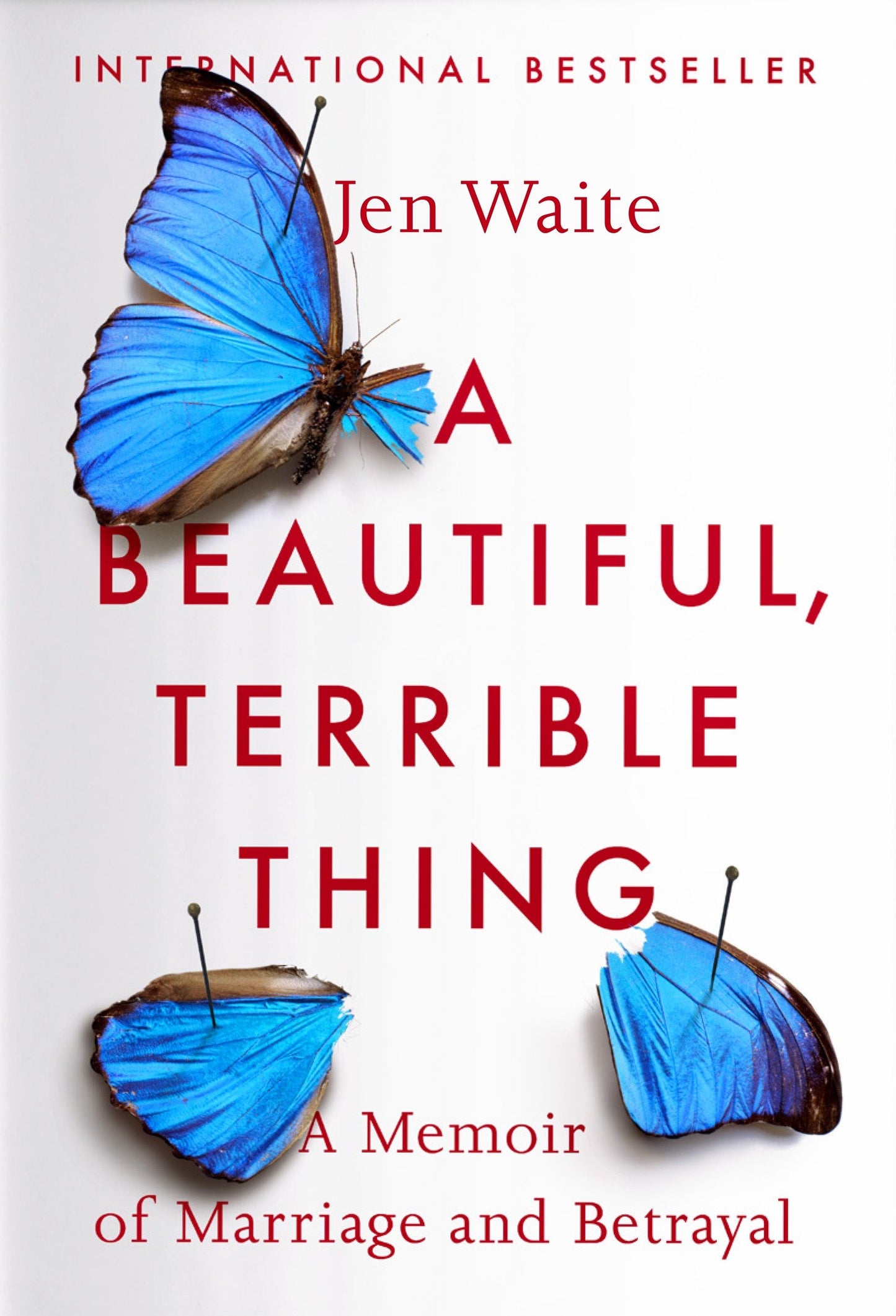 A Beautiful, Terrible Thing - A Memoir of Marriage and Betrayal