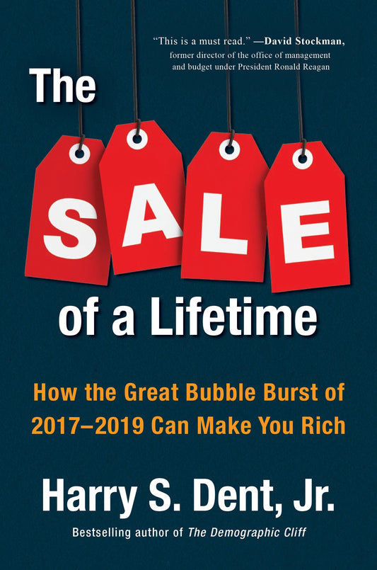 The Sale of a Lifetime - How the Great Bubble Burst of 2017-2019 Can Make You Rich