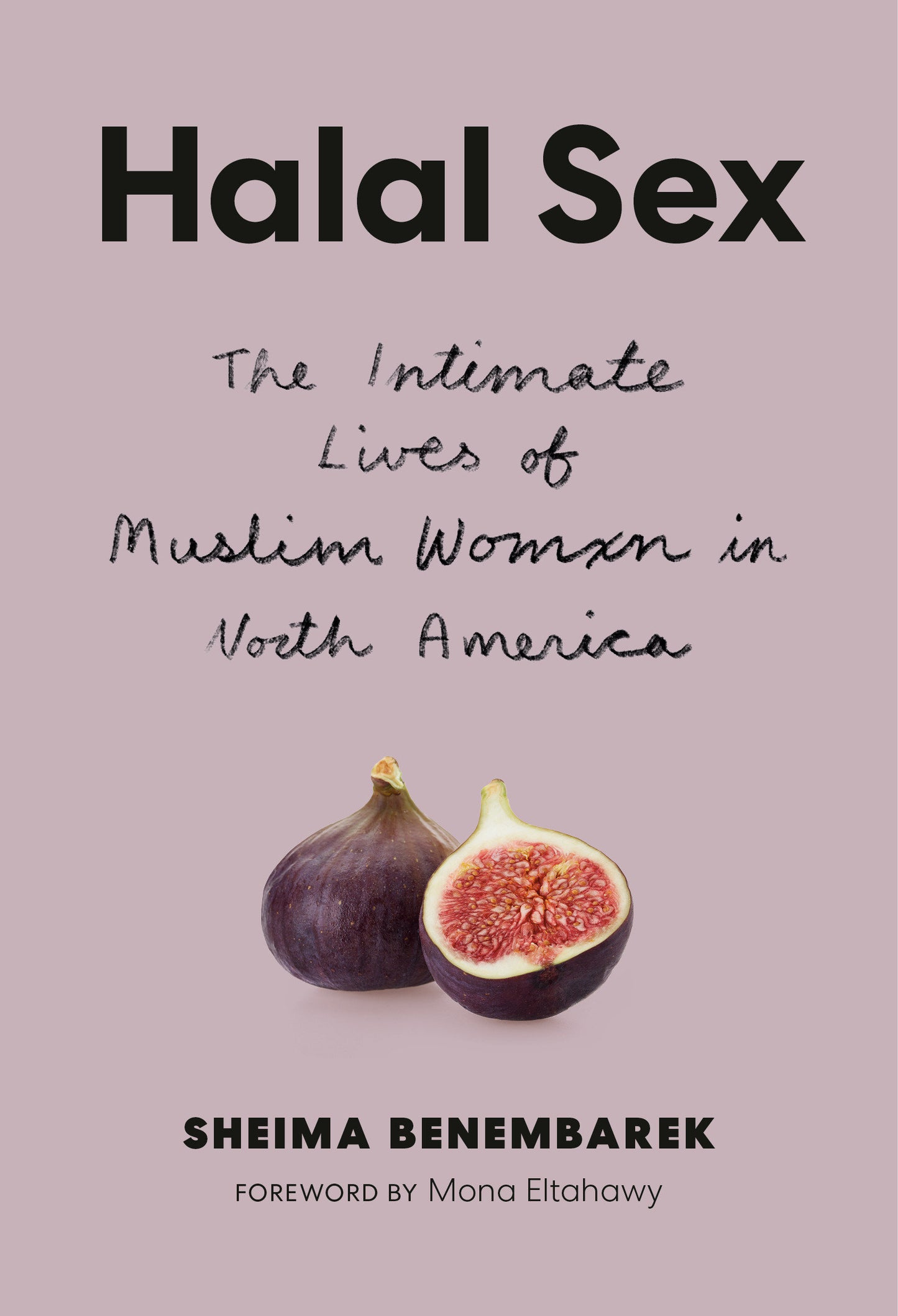 Halal Sex - The Intimate Lives of Muslim Women in North America