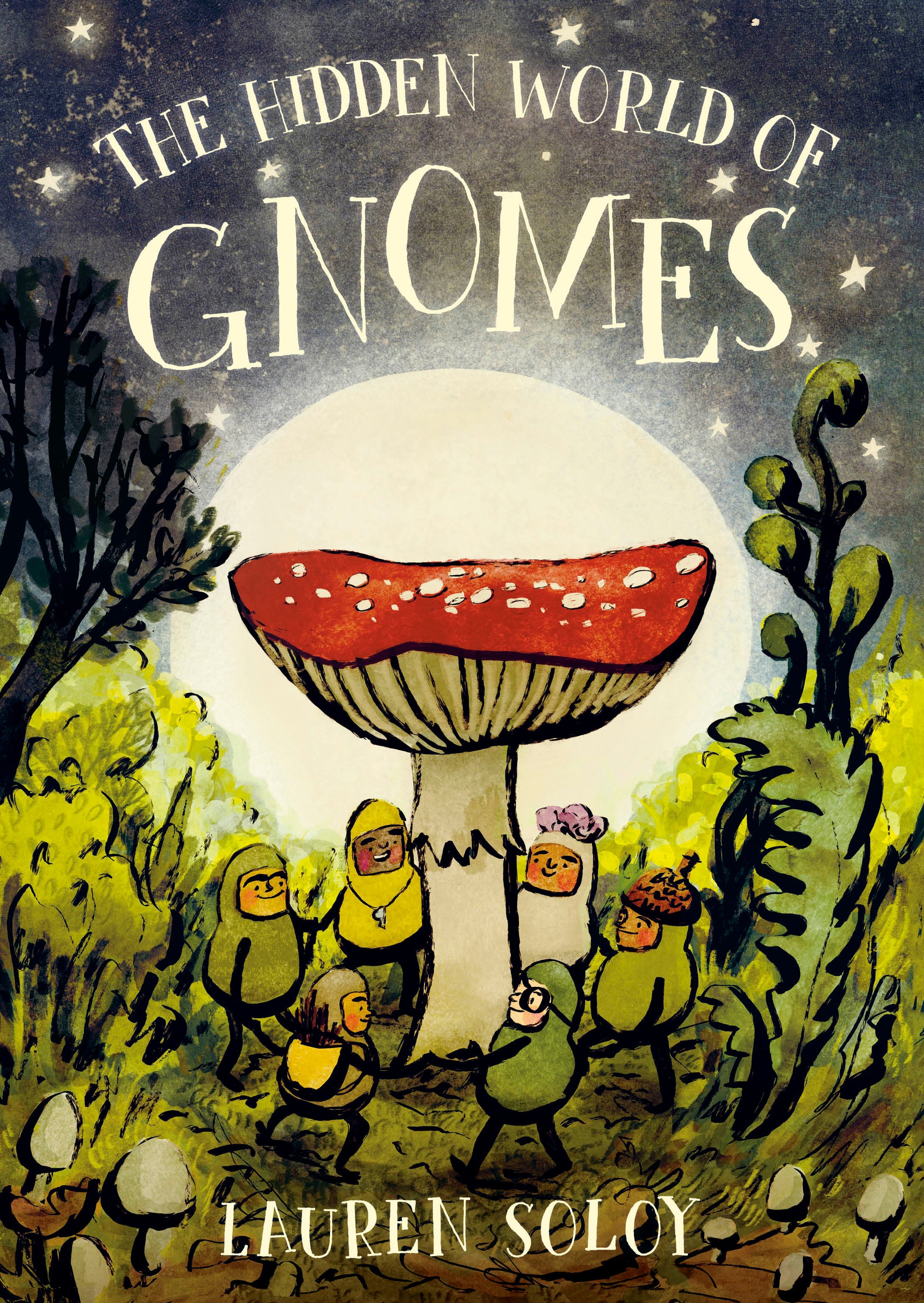 The Hidden World of Gnomes (The Hidden World of Gnomes)
