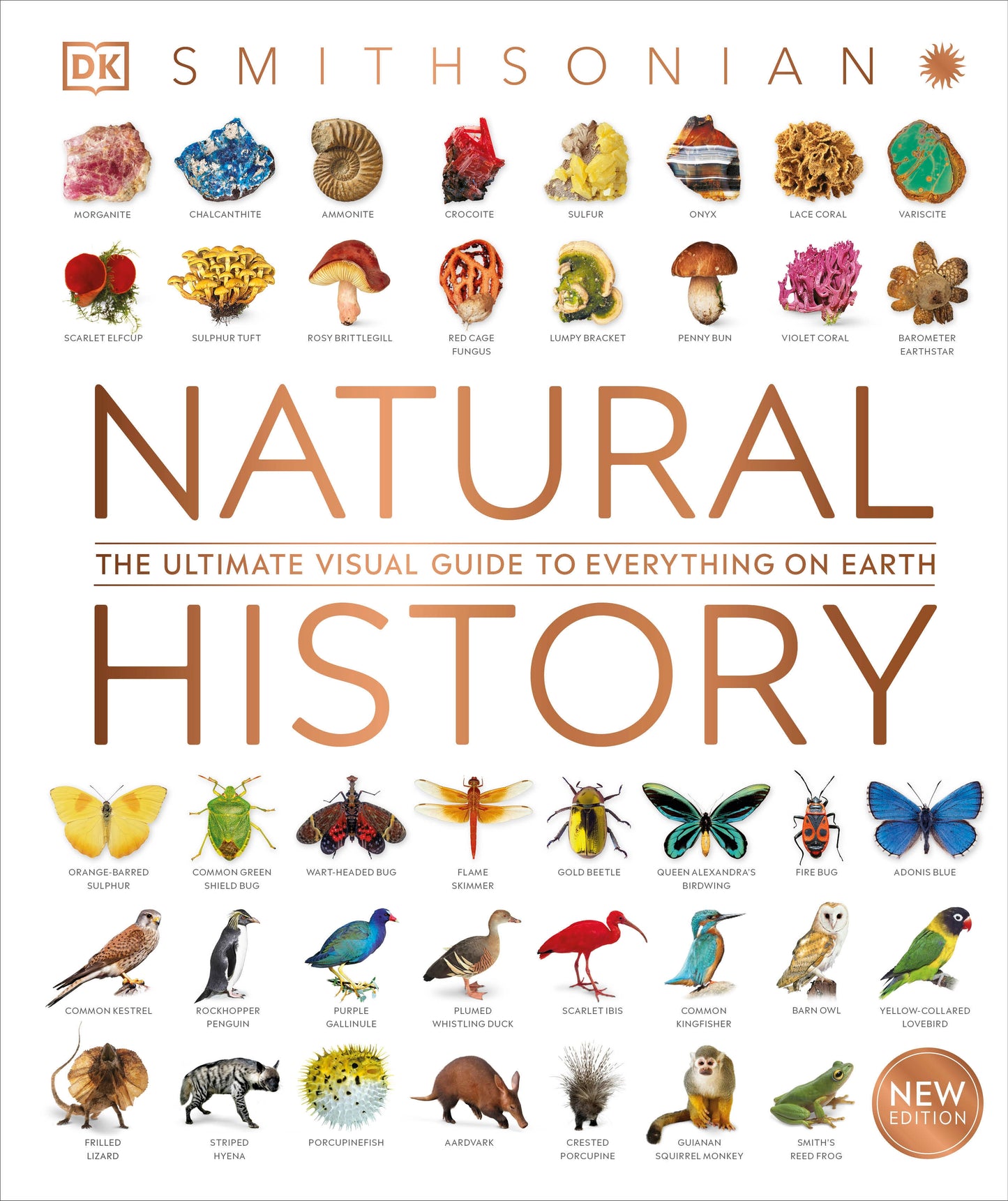 Natural History (DK Definitive Visual Encyclopedias)